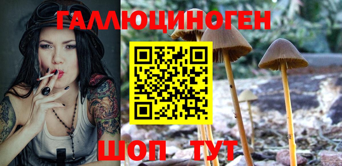 Галлюциногенные грибы Cubensis  Псилоцибиновые грибы GOLDEN TEACHER  Вход с VPN  Котовск 